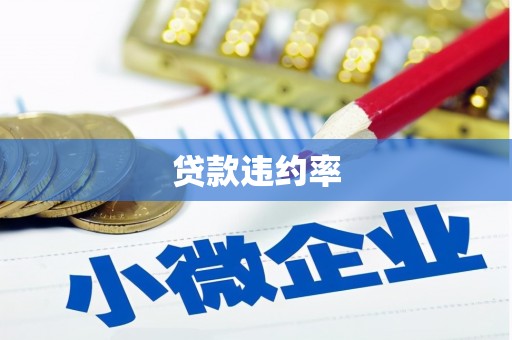 洋县贷款违约率