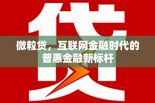 洋县微粒贷，互联网金融时代的普惠金融新标杆