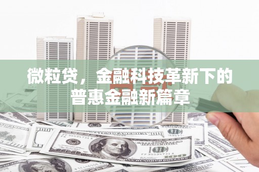 洋县微粒贷，金融科技革新下的普惠金融新篇章