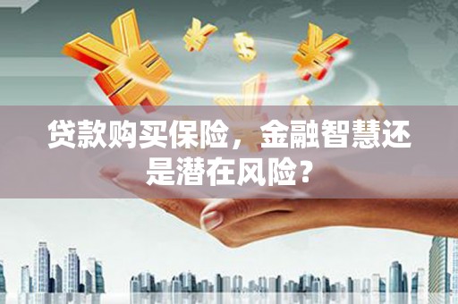 洋县贷款购买保险，金融智慧还是潜在风险？