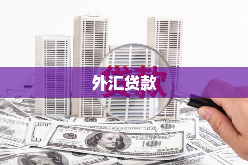 洋县外汇贷款