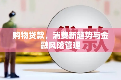 洋县购物贷款，消费新趋势与金融风险管理