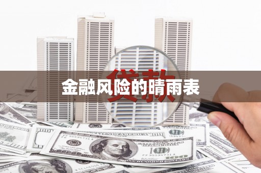 洋县金融风险的晴雨表