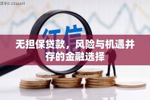 洋县无担保贷款，风险与机遇并存的金融选择