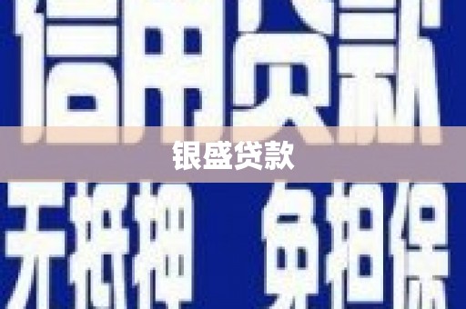 洋县银盛贷款
