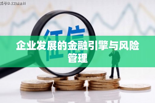 洋县企业发展的金融引擎与风险管理