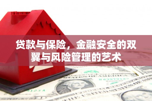 洋县贷款与保险，金融安全的双翼与风险管理的艺术