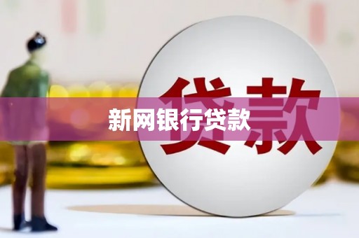 洋县新网银行贷款