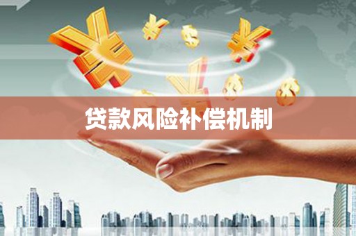 洋县贷款风险补偿机制