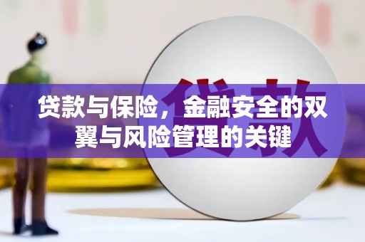 洋县贷款与保险，金融安全的双翼与风险管理的关键