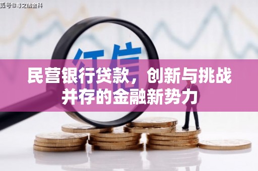 洋县民营银行贷款，创新与挑战并存的金融新势力
