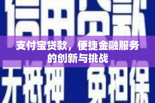 洋县支付宝贷款，便捷金融服务的创新与挑战