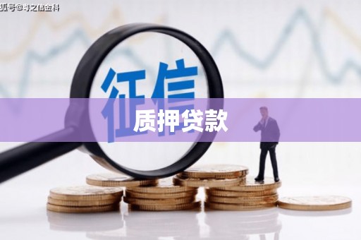 洋县质押贷款
