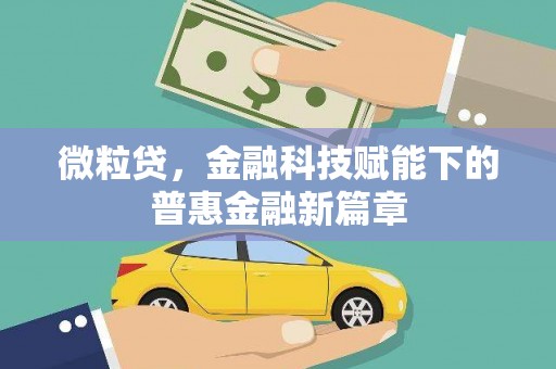 洋县微粒贷，金融科技赋能下的普惠金融新篇章