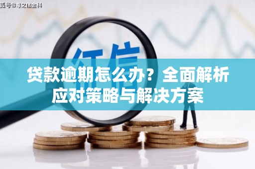 洋县贷款逾期怎么办？全面解析应对策略与解决方案