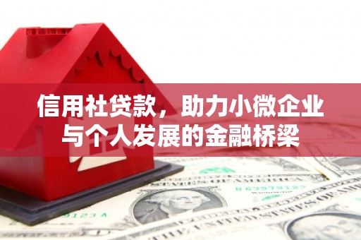洋县信用社贷款，助力小微企业与个人发展的金融桥梁