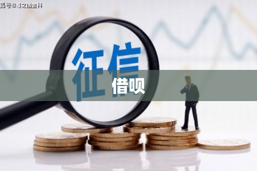 洋县借呗