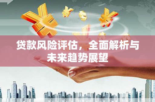 洋县贷款风险评估，全面解析与未来趋势展望