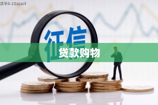 洋县贷款购物