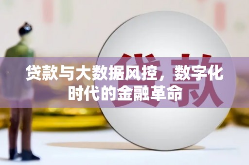 洋县贷款与大数据风控，数字化时代的金融革命