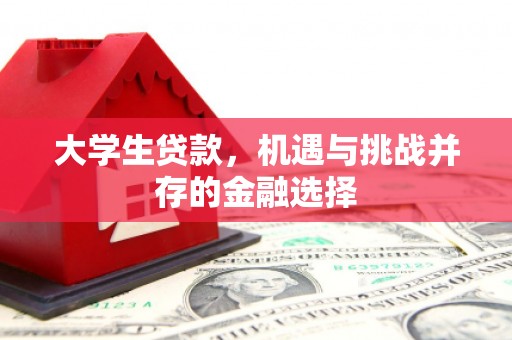 洋县大学生贷款，机遇与挑战并存的金融选择