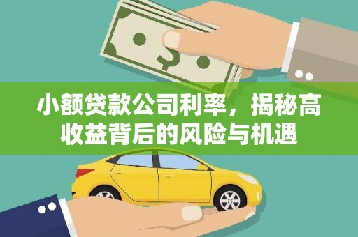 洋县小额贷款公司利率，揭秘高收益背后的风险与机遇