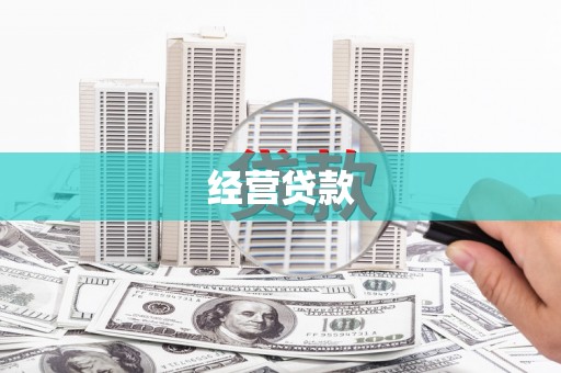 洋县经营贷款