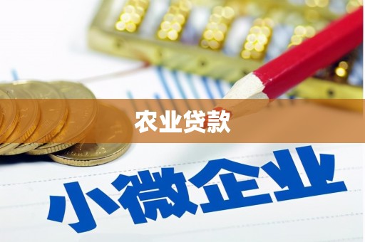 洋县农业贷款