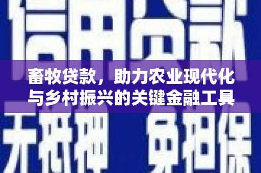 洋县畜牧贷款，助力农业现代化与乡村振兴的关键金融工具