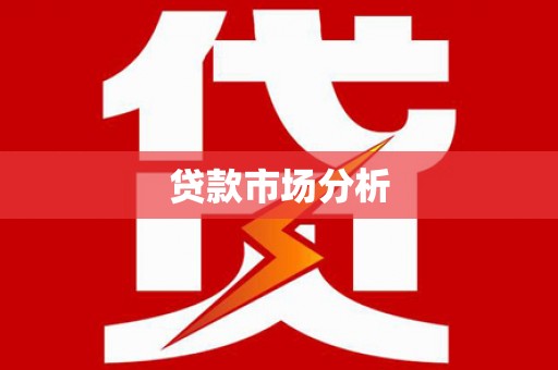 洋县贷款市场分析