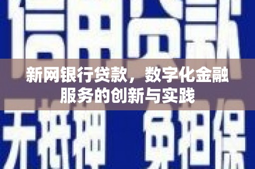 洋县新网银行贷款，数字化金融服务的创新与实践