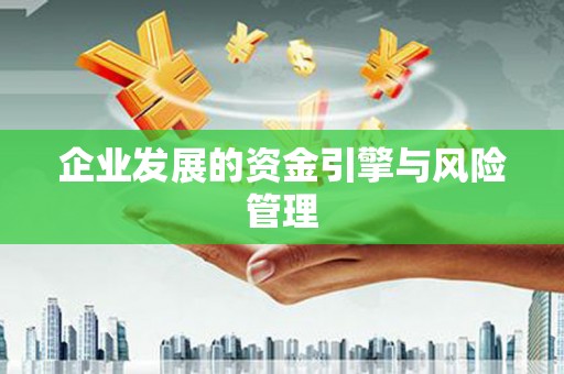 洋县企业发展的资金引擎与风险管理