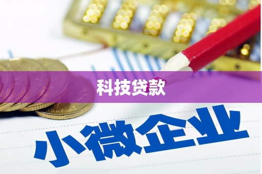 洋县科技贷款