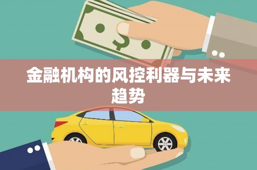 洋县金融机构的风控利器与未来趋势