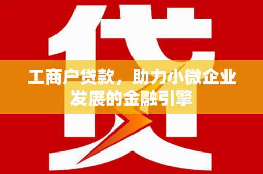 洋县工商户贷款，助力小微企业发展的金融引擎