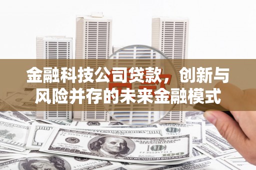洋县金融科技公司贷款，创新与风险并存的未来金融模式