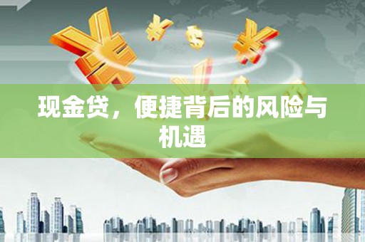 洋县现金贷，便捷背后的风险与机遇