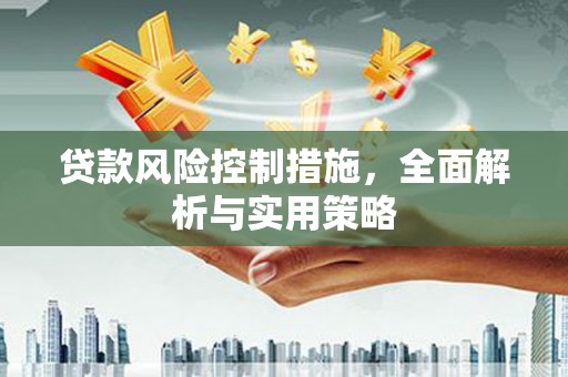 洋县贷款风险控制措施，全面解析与实用策略