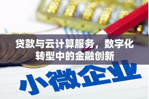 洋县贷款与云计算服务，数字化转型中的金融创新