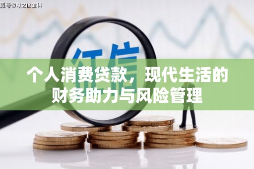 洋县个人消费贷款，现代生活的财务助力与风险管理