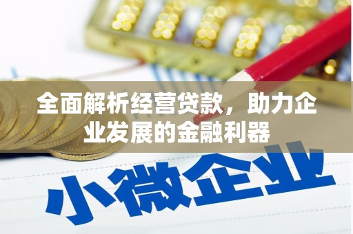 洋县全面解析经营贷款，助力企业发展的金融利器