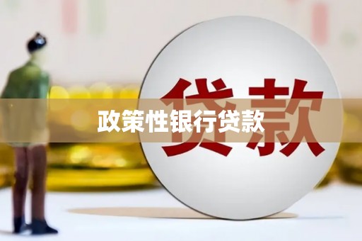 洋县政策性银行贷款