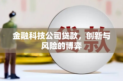 洋县金融科技公司贷款，创新与风险的博弈