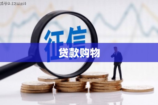 洋县贷款购物