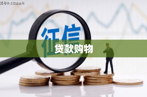 洋县贷款购物