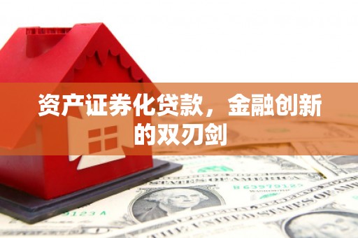 洋县资产证券化贷款，金融创新的双刃剑