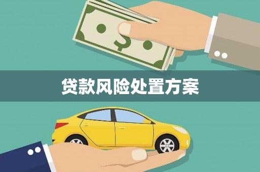 洋县贷款风险处置方案