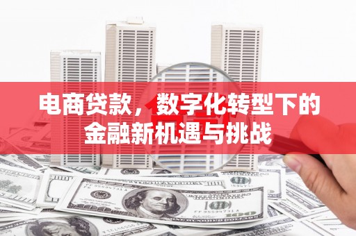洋县电商贷款，数字化转型下的金融新机遇与挑战