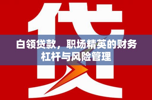 洋县白领贷款，职场精英的财务杠杆与风险管理