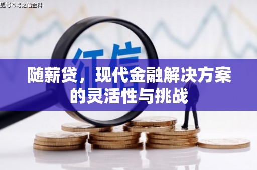 洋县随薪贷，现代金融解决方案的灵活性与挑战
